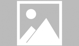 辉瑞总裁爆料视频最新